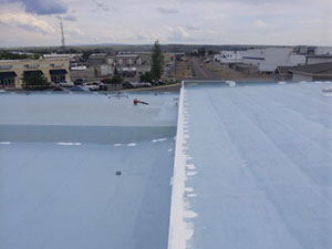 roof coating lees summit missouri