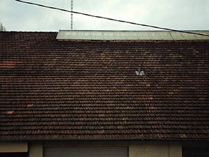 roof inspection olathe kansas