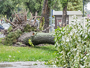 Storm Damage Shawnee KS Kansas 2