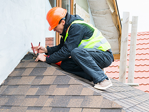 Emergency Roofer