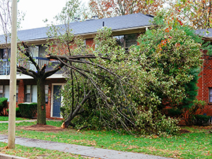 Storm Damaged Roof Shawnee KS