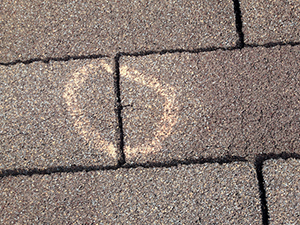 Repairs to Shingle Roofs