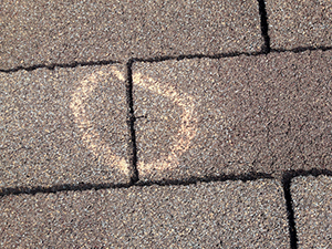 Repairs to Shingle Roofs