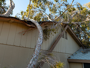 storm damage excelsior springs mo