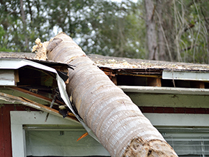 storm damage exelsior springs missouri