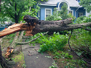 storm damage Blue Springs MO Missouri 2