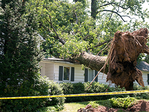 Storm Damage Belton MO Missouri 1