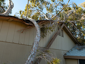 Storm Damaged Roof Gardner, KS1