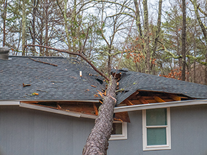 Storm Damaged Roof Gardner, KS