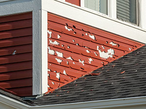 Hail Damaged Roof2